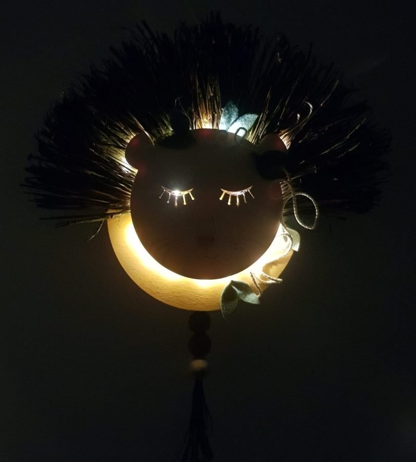 veilleuse musicale lion